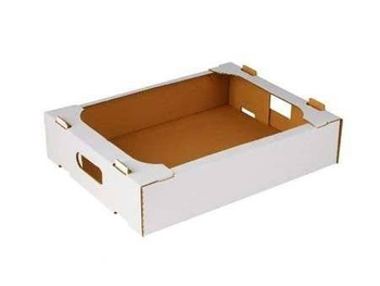 POLKRYS KARTON DUŻY PĄCZEK GEMINI 607/407/85 A50