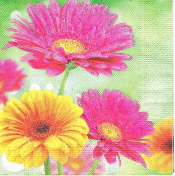 Serwetka AHA 3W 33CM A20x12 KW15-070