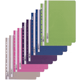 SKOROSZYT A4 PP Z PERFORACJĄ A10
