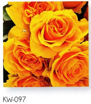 Serwetka  AHA 3W 33CM A20x12 KW16-097