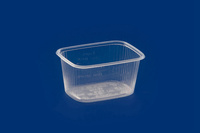 POJEMNIK PROSTOKĄTNY KP-805 250ml A100