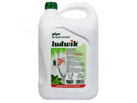 LUDWIK PŁYN DO NACZYŃ MIĘTA 5KG